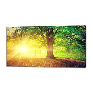 ؂̊G i摾ž G CeA i Ǌ|  rO[ ǊG ǃA[g  ?ؘgt̊i (40x80cm)