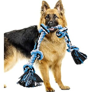 for  pނߋ [v ^ ^ ybgp v VRRbg XgX ^s ϋv   5mbǧ̃[v̂