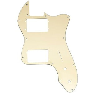 Pro 12 eLX^[sbNK[h2n}Egdl Fender American/Mexican 1972 Tele ThinlineGLM^[pAN[3P