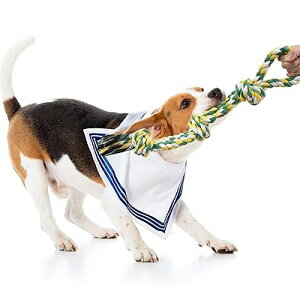 TEMLUM  p ނ  [v ȃ[v pߋ VRRbg[v v ϋv ybgp  XgX ^s 60cm /^