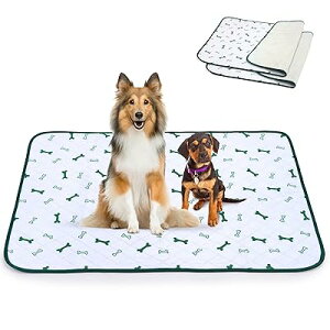 􂦂 ybgV[c  Lp }bg ybg}bg ~}bg 􂦂  JԂgizCg100×67cm 񖇃Zbgj