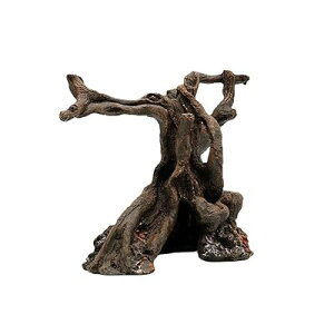 ঒ރeȆo ق̏蕨 p̐̏萶n A TP؍ B