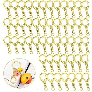 L[z_[  L[z_[p[c 50 S4.7CM iXJ W p[c L[z_[p[c ]tbN ۃJ t nhCh L[O ANZT[ DIY |pi (S[h