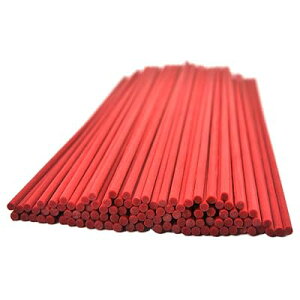 100{A}t@Co[fBt[U[pXeBbN (20cm*3mm, )