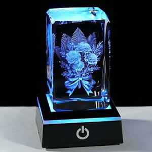 K9NX^ 3D J[l[V  ԑ a ̓ lC e c  ޏ v[gyKizLEDCgx[XUSB[d