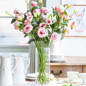 ԕr KX ~ 25cm ԕr NA t[x[X 傫  Vv k rOAQAItBXȂǂ̑ɓKĂ܂ (a10cm 25cm)