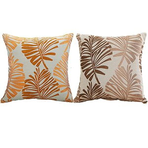 NbVJo[ 45x45cm k 2Zbg Ȃƃl   t̕ WK[hD t@Xi[ Vv i` _ CeA (45x45, IW&R[q[)