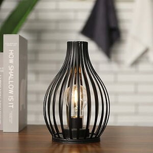 ドCg LED 铔 24cm dr [Cg 6ԃ^C}[  ԐڏƖ  fXNCg a CeA  QprO[o[zeOi