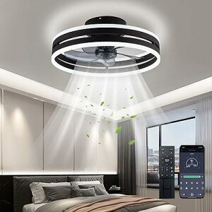 V[Ot@Cg LEDVt@Cg Ét@tƖ V[OCg Rt߉\ȕ (, 40cm)