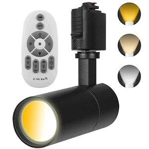 CeBO[pX|bgCg100W  F Rt dFFF d10W 1000LM,Ǝˊpx߉\,2.4GHzuC30/60x݃^C}[ 铔 