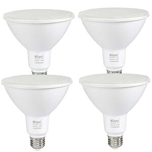 LEDr[d 15W LEDr[v r[Cg ONۏ LpƎ IP65h yʃfUC  Px E26 OŔƖ (F 4)