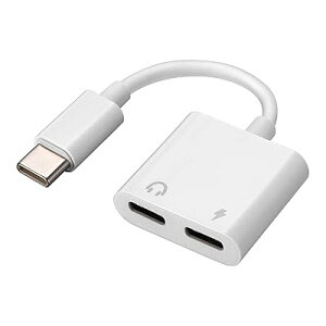 Type-C イヤホン変換アダプタ 2in1 オーディオ変換アダプタ iPad Pro(2018) 音楽・充電同時 通話可能 PD急速充電可能 USB C イヤホン変換ケーブル iPad Pro 11 2018/iPad Pro 12.9 2018/