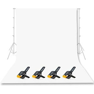 wiz z Be wi XN[ z z 300cmx360cm  Rcgn wi v z[Ή ʐ^Be X^WIwi XN[V[g wiV[g wiX^h  ܂肽 obN