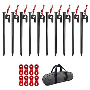 X`[yO 20cm10{Zbg LvyO egpyO yOP[Xt ^[vyO dy n np 10mm 1Nԕi [P[X ݋t