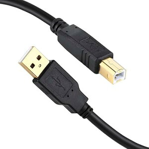 USB 2.0 v^[P[u10m AIX-BIX bLRlN^Type BɃXLi[P[uA HPALmAuU[AGv\Af̕@ t@bNX@ Rs[ɑΉ ubN 10[g