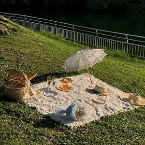 W[V[g sNjbNV[g sNjbN}bg CX^f ^ ؗ  [X̕zfUC Ԍ  Lvpi ʐ^B̔wi 2~3lp TCY(90*150CM zCg)