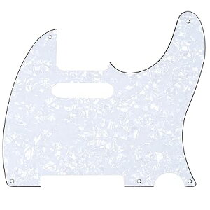 Pro 5 Be[WTLeLX^[ sbNK[h USA/LVRX^_[hFender TelecasterGLM^[pA4PzCgp[