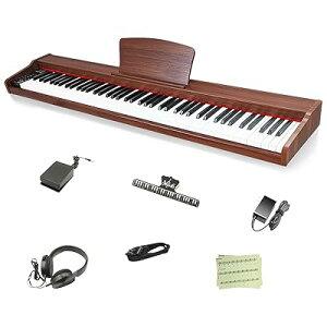 yؐdqsAm zLongeye AC dqsAm 88 MOLD2 {\L wbhzgp MIDI[qΉ 10mmXg[N 380މF ڒ DREAM S KɃsb^ MIDIΉ Cz