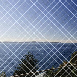 hlbg x_悯lbg 4m×10m JX ΍h ʎ؍͔|hblbg LNEh~ F ioh 15{tj