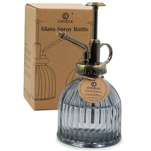  | ϗtA Xv[ CeA 傤 240ml (O[)