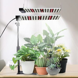 50W A琬Cg X^ht LED tXyNgLEDACg ͔| c؍͔| ԐA͔|k͔|v A͔|H /|ɓKp