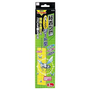 Sv nGƂ V[g^ USV[gŃnG쏜