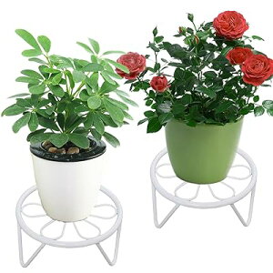 2g ACAAt[X^h CeA K[fjObN A t[X^h ԑ Aؔ Pw S a 23cm  13cm |bN /O/ (, gybg2