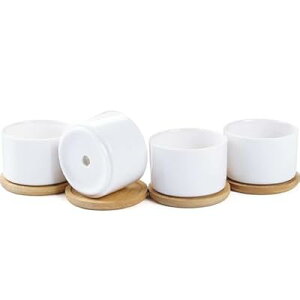 픫 zCg t 󂯎Mt ~`  4_Zbg ȎpAؔ ̃CeAƂĂ ̂Ő؂ǂ AT{eȂǂɂ ~jA