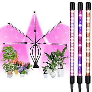 A琬Cg LED ACg 5wbh ͔|v ϗtA琬Cg 50W 100LEDv 莞@\ (3H / 6H / 12H) 5iK 360°\ 3̏Ɩp^[ k͔|v  ȃGl USB
