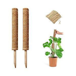 RRXeBbN 2_Zbg Xex ϗtA x |x A K[fjOp Ԃ  oh RRibcx AT|[g 鐫A g}g |gX _Ɨp |p 