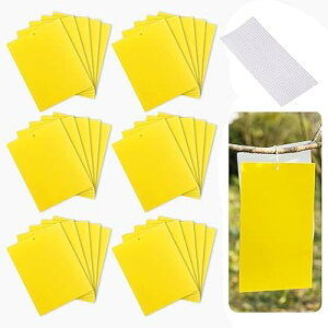 15*20cm J[FCG[A vF30 A^b`g[v RoG RoG Q쏜 nG E AuV 쏜 |V[g _jV[g nG莆 SV[g ϗtA h