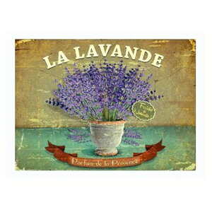 ガーデニング雑貨 アンティーク ガーデニンググッズ アイアン プランタープレート ブリキ おしゃれ ガーデン 屋外 プレート ガーデニング用品 ガーデニング ボード アイアンプレート イン