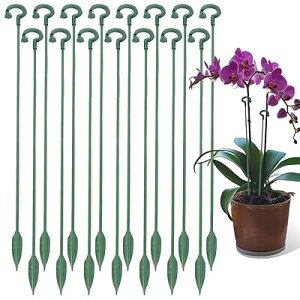 Ax 15{Zbg Ԃ |x xI t[X^h ϗtx Ԏx K[fjOx RRXeBbN Ux 鐫Ap Ӓ ϏܐAEؗp t[X^h 