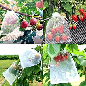 hlbg 20x15cm ʎ ʕیlbg Q΍ h  ؕی h _ |p lbg ʋC  ߐ 20*15cm 50 