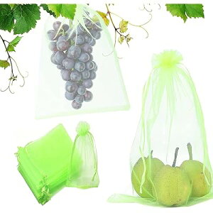 ʕ یlbg h lbg یobO ʎ I[KW[n ʋC bV 悯lbg 悯lbg ʋC ʉ ϋv R 悯 悯 JX΍ Q |