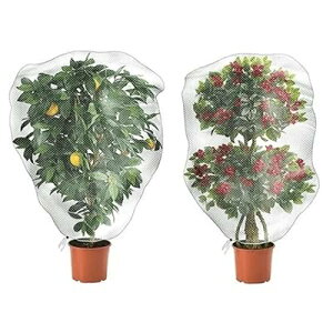 AیJo[ hlbg hlbg bVВ |plbg  AQn`E h ΍ ʋC |pi 2Zbg(80X100cm)