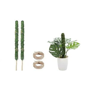 |x XeϗtA |gX wS RRXeBbN x AT|[g 鐫A K[fjOx Ԃ t[X^h (70cm*2)