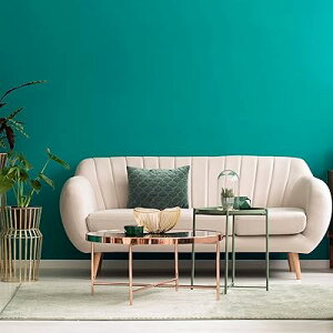 ǎV[ n CNV[g u[ JbeBOV[g ̂t 40cm×2m  ǎ CeA ǎ C tH[ Lb` V[g rj[ EH[XebJ[ k 