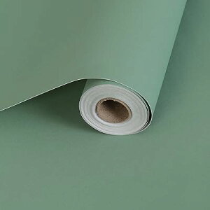 ǎ V[  CNV[g ͂ 60cm×5m n ̂t }bgȎ JbeBOV[g  O[ h ͗lւ ͂ǎ  h h hJr ϔM DIY