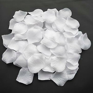 Ԃт 3000Zbg  t[V[ KN ỏԂт [Y  v|[Y   EGfBO 2 a j NX}X p[eB[p  Be o lC