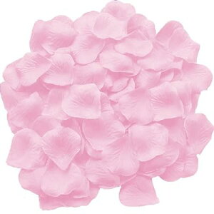 Ԃт 2000Zbg t[V[ KN ỏԂт [Y  v|[Y   EGfBO 2 a j NX}X p[eB[p  Be o lC (