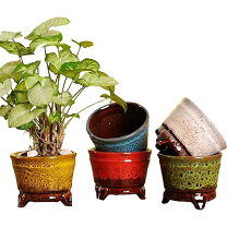楽天市場】植木鉢 サボテン型の通販