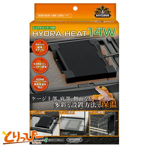  | RguL@qhq[g 14W (S) ঒  pq[^[