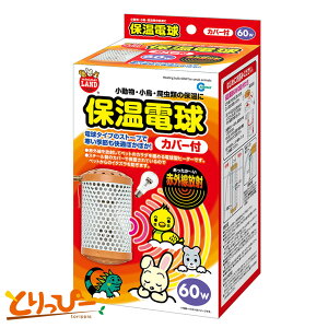  | }J ۉd Jo[t 60W(HD-60C)qREۉ