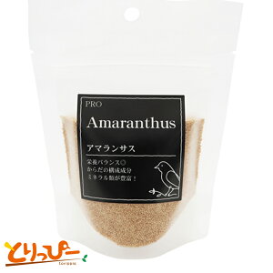  | NPF PRO A}TX 100g CR̂ / [