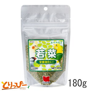  | ybgt[h@؁@180gieʃpbNj@PF-33@N×LA@CR̉h{⏕H