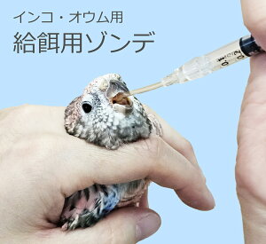  | ށiCREIEj@ap o]f VR@ap`[u@召Iׂ2{Zbg