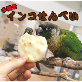 送料無料 | 小鳥専用おせんべい　インコ煎餅　2枚セット