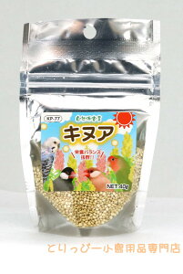 送料無料 | 自然派宣言 キヌア 40g 黒瀬ペットフード