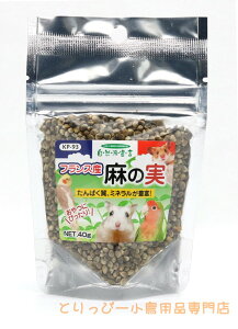  | Rh錾tXY ̎ 40g ybgt[h